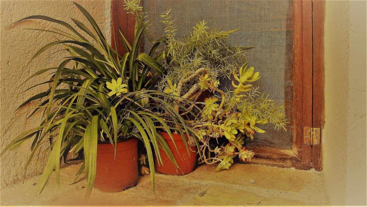 Ca Lesperrucat Acogedora Casa De Pueblo Tranquila Y Bien Comunicada Villa Argelaguer Exterior photo